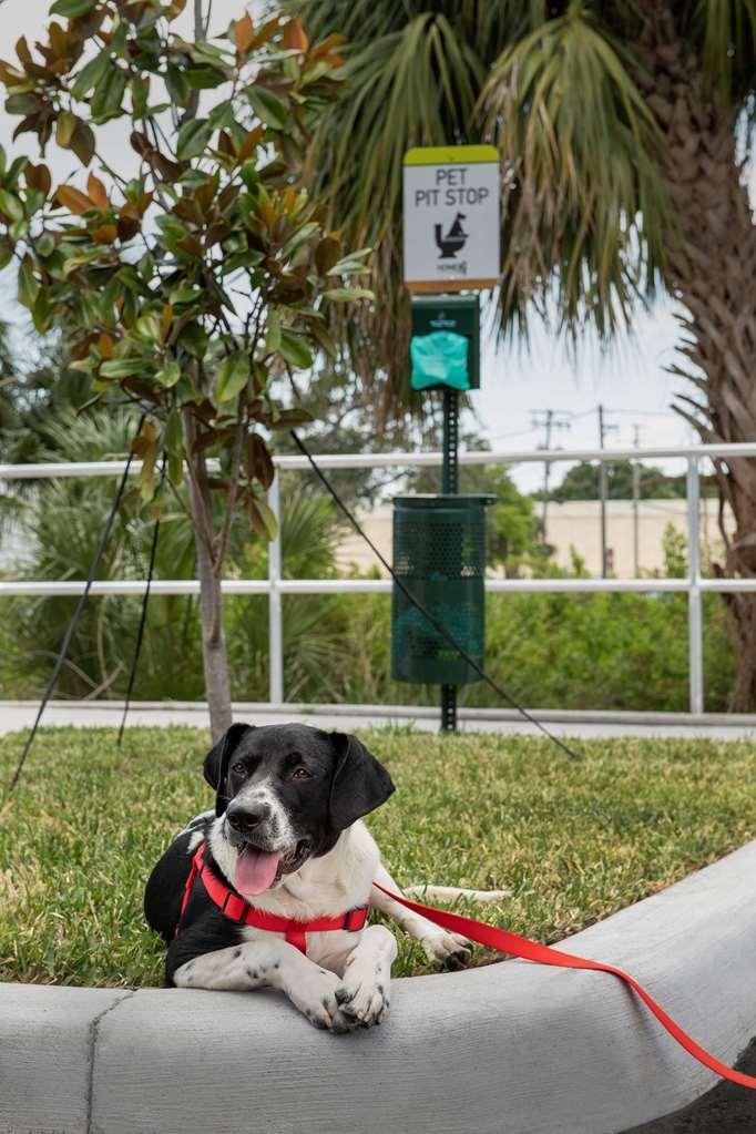 Home2 Suites By Hilton Tampa Westshore Airport Exterior foto